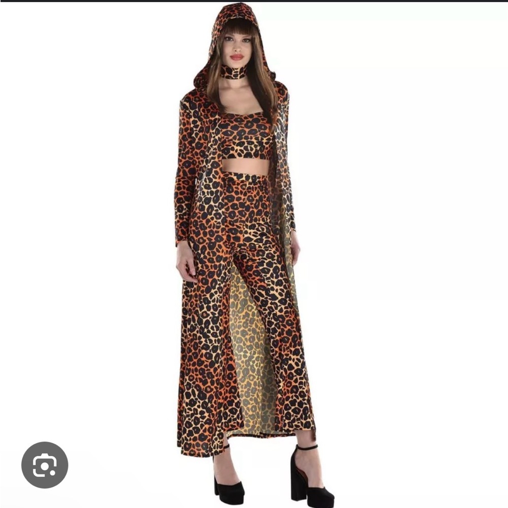 Shania Twain Halloween Costume